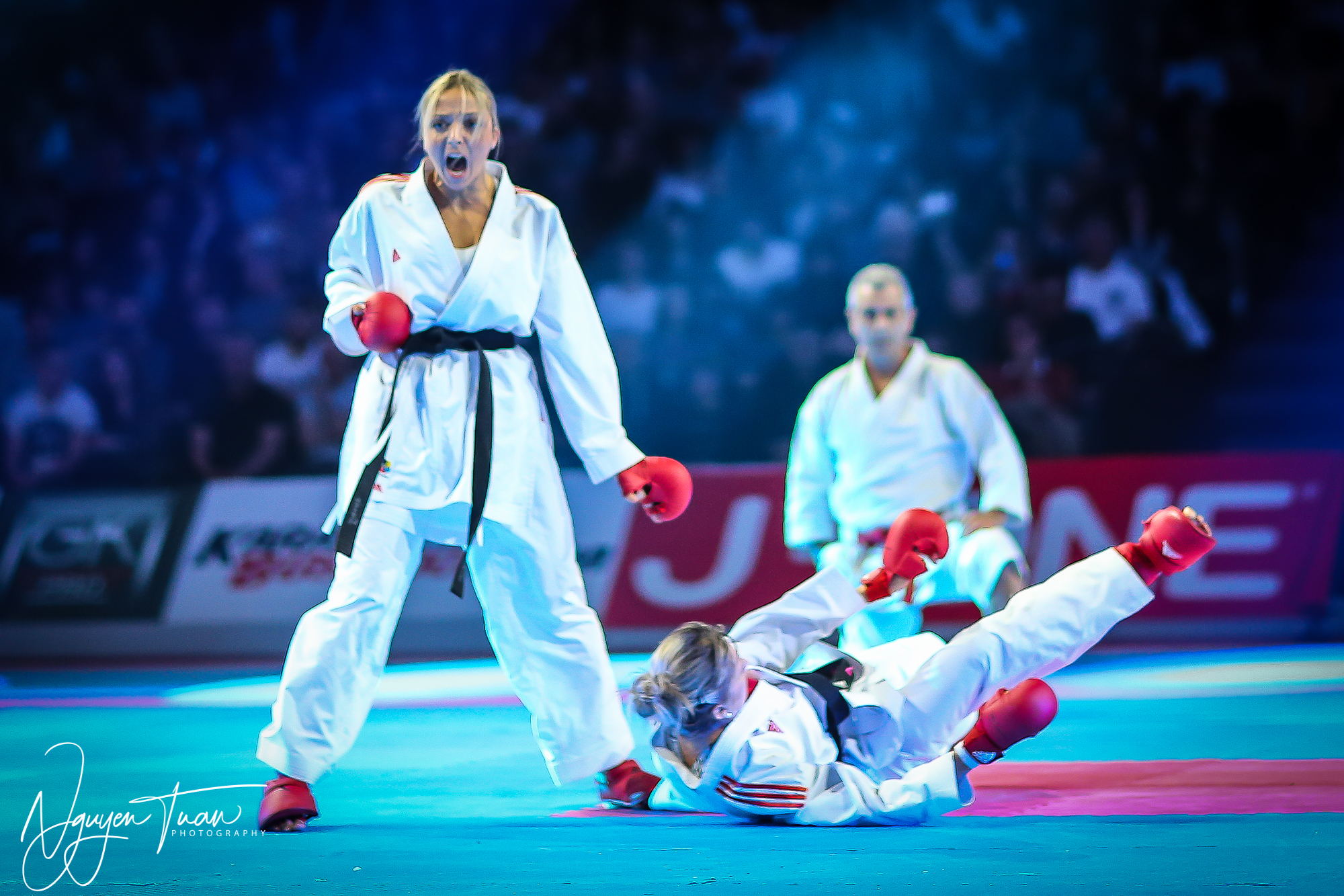 20190324 Festival des Arts Martiaux 3792